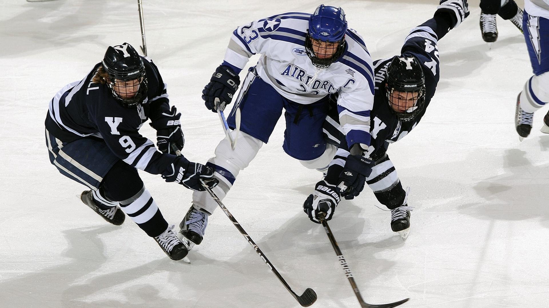 老鹰主场观众爆满气氛热烈，老鹰队视频